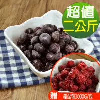 在飛比找momo購物網優惠-【幸美生技】冷凍栽種藍莓2包組1kgx2包美國原裝進口(加贈