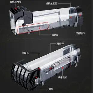 鼠洞式捕鼠器透明款 高靈敏踏板一觸即捕 全自動滅鼠器 誘捕式抓老鼠 老鼠籠 捕鼠機【ZA0306】《約翰家庭百貨