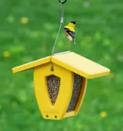 Kettle Moraine "Mini Moraine" Small Recycled Curved Screen Bird Feeder