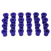 SuperPro Leaf Spring Bushing Kit - KIT018K