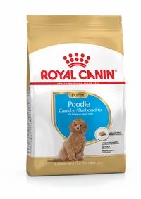 在飛比找BONEBONE優惠-法國皇家Royal Canin/PRPJ33(PDP) 貴賓