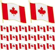 [Comebachome] Canada Flag Pin, 20Pcs 1inch Vibrant Plated Alloy Canadian Flag Pin Decorative Patriotic Brooch Also for Hat, Tie, Backpack, Canadian