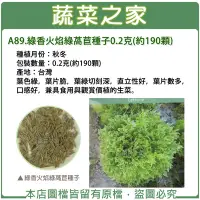 在飛比找Yahoo!奇摩拍賣優惠-【蔬菜之家】A89.綠香火焰綠萵苣種子0.2克(約190顆)