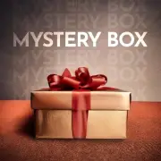 NEW Mystery Bundle Size S-M 10 Pc Women Fashion NORDSTROM Brands Value Up $450