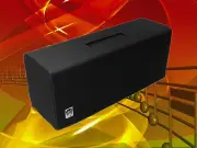 FRIEDMAN TWIN SISTER AMP HEAD - Heavy Duty Padded Cover