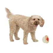 All Day Plush Meat Pie Dog Toy