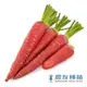 《農友種苗》精選生菜種子 LS-072彩色胡蘿蔔(紫紅)