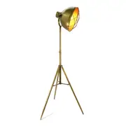 [Florabelle Living] Orion Gold Focus Floor Lamp