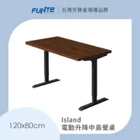 在飛比找momo購物網優惠-【FUNTE】蜂巢板電動升降桌 二節 120x80cm(升降