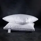 Goose Feathers down Pillows for Sleeping(2 Pack),Queen(20Inx30In)-White Bed Pill