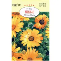 在飛比找蝦皮購物優惠-尋花趣 銅錢花(African Daisy)【花卉種子】 天