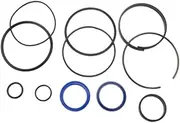 LeeQinersw Cylinder Rebuild Seal Kit,Hydraulic Log Splitter for 4.5" Bore x 1.75" Rod Cylinders