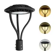LED Post Top Pole Light with Dusk to Dawn Photocell, 20W/30W/40W/60W Wattage ...