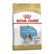 Royal Canin Cavalier King Charles Puppy Dry Dog Food 1.5kg