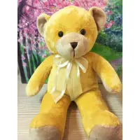 在飛比找momo購物網優惠-【TEDDY HOUSE 泰迪熊】泰迪熊玩偶公仔絨毛娃娃ba