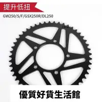 在飛比找Yahoo!奇摩拍賣優惠-優質百貨鋪-機車適用GW250 GSX250R DL250摩