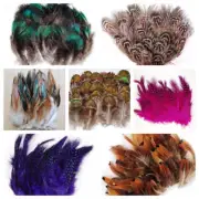 Feather PLUMAGE Assorted 2"-8" Peacock & Pheasant 100-500 Pcs; Halloween/Costume
