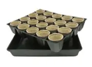 60mm Jiffy Round Pots, 20-cel Tray Liner & Hydro Tray x 10 sets -Propagation kit