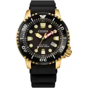 Citizen Eco-Drive Men's ​PROFESSIONAL DIVER Black Dial Watch BN0152-06E