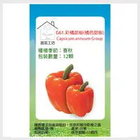 在飛比找PChome24h購物優惠-G61.彩橘甜椒(橘色甜椒)種子12顆
