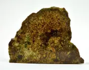 40.19g Olivine Diogenite I HED Achondrite Meteorite from Asteroid 4 Vesta - TOP