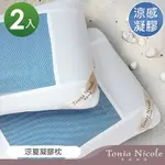 TONIA NICOLE東妮寢飾 涼夏凝膠枕(2入)