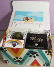 Pet Memorial Sympathy Gift Arrangement | Cat or Dog Personalized |Rainbow Bridge