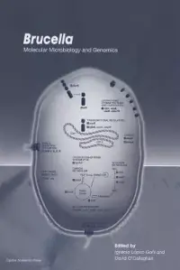 在飛比找博客來優惠-Brucella: Molecular Microbiolo