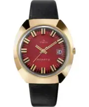 Q Timex 1972 Reissue 43X39MM Burgundy Dial Black Leather Watch TW2V25400