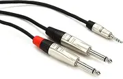 Hosa Rean 3.5 mm TRS to Dual 1/4 Inch TS Pro Stereo Breakout Cable, 10 Feet