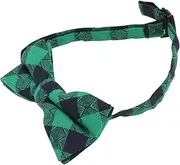 [WOFASHPURET] 2pcs Boys and Girls St. Patrick's Day Bow-knot Tie Set Fine Craftsmanship Easy On/off Party Accessory