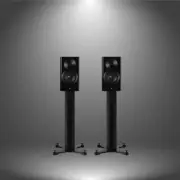 Dynaudio Focus 10 Aktiv Kompaktlautsprecher mit Standfuß Paar