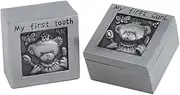 Totority 1 Pair Tooth Box Tooth Storage Case Cartoon Organizer Commemorative Case Tooth Keep Holder Tooth Collection Shirt Boxes for Presents Treasure Chest Boxes Zinc Alloy