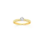 9ct Two Tone Gold Diamond Solitaire Ring