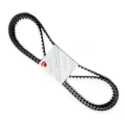 Ducati Cam Timing Belt Set Supersport Monster Superlight 900 73710081A Genuine