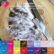 100 5" Goose Satinettes Loose Feather DIY Balloon Craft Wedding Party Angel Bulk