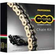REGINA 1230-1185 135ZRT/118KKT001 Chain and Sprocket Kit ktm rc390/duke -
