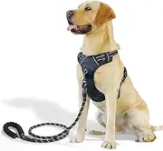 Dog Harness for Large Dogs Anti-Pull Harness No Pull Safety Harness Small Medium Dogs Chest Harness Black (Medium)