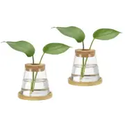 2 Pcs Plant Propagation Station Glass Vases with Wooden Tray & Lid, Brown