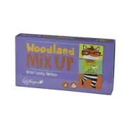 NEW Woodland Mix Up Puzzle Memory Development Game