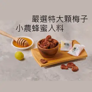 【富田】日式蜂蜜梅肉 100克/包(個包裝) ハニー/日本無籽梅干/梅乾/蜂蜜梅肉
