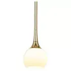 Unbranded Pendant 1-Light Dimmable Incandescent LED Metal Dome Polished Brass
