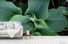3D Tropical Green Leaf Wallpaper Wall Murals Removable Wallpaper 186