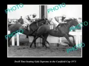 OLD LARGE HORSE RACING PHOTO OF SWELL TIME WINNING THE 1973 CAULFIELD CUP