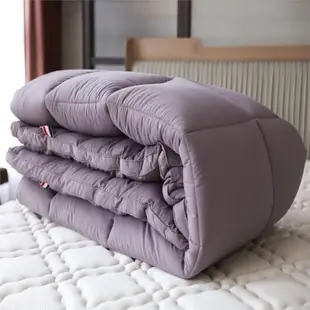 出口保暖磨毛暖絨軟床墊外貿高端榻榻米墊褥子超柔軟墊被防滑床褥