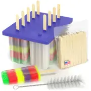 Frozen Popsicle Molds Maker Kit, BPA Free! Paletas Fruit Bar Ice Pop Lolly USA