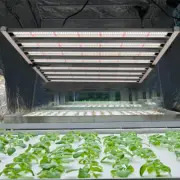 Phlizon 640W LED Grow Light Samsung Diodes Full Spectrum for 120x120cm Grow Tent