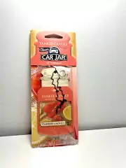 NEW Yankee Candle Strawberry Lemon Ice Car Jar Single Air Freshener 2015 1351259