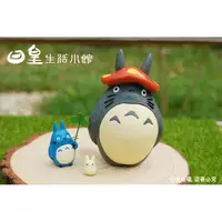 在飛比找蝦皮購物優惠-【日正】宮崎駿 龍貓 Totoro 拍照道具 龍貓公仔玩偶玩