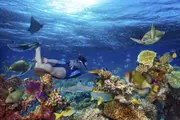Snorkelling Wave Break Island - Main Beach